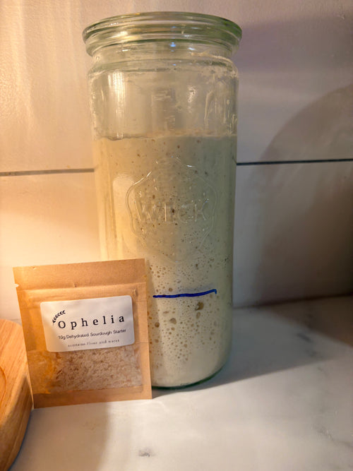 Ophelia- Sourdough Starter (Dehydrated)